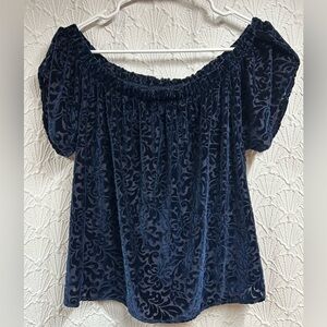 Hollister Large Midnight Blue Burnout Velvet Top